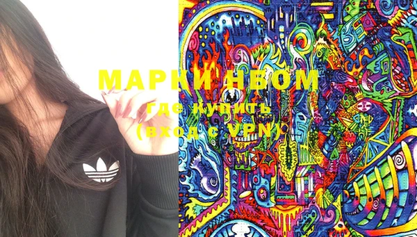 PSILOCYBIN Верея