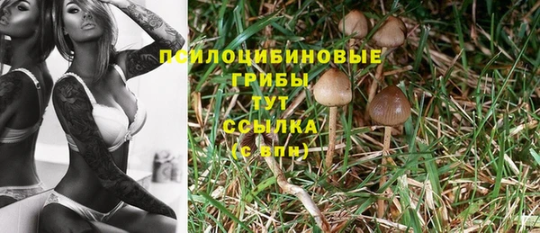 ПСИЛОЦИБИНОВЫЕ ГРИБЫ Волоколамск