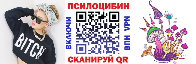 Купить где  Николаевск-на-Амуре  Галлюциногенные грибы Psilocybe 